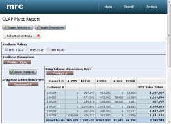 OLAP Pivot Table