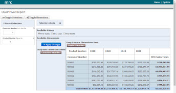 OLAP Pivot Table