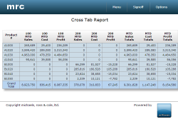 Cross Tab Report