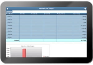 How well do your reports work on mobile devices?