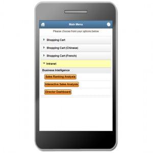 An example of mobile customer extranet