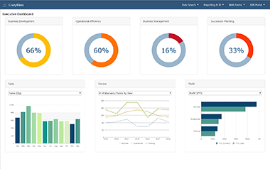 Executive Dashboard Demo